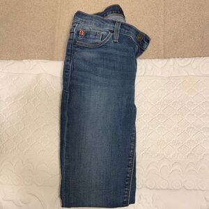 Hudson Jeans Skinny Blue Denim